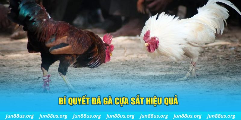 sunwwin casino KÈO NHÀ CÁI