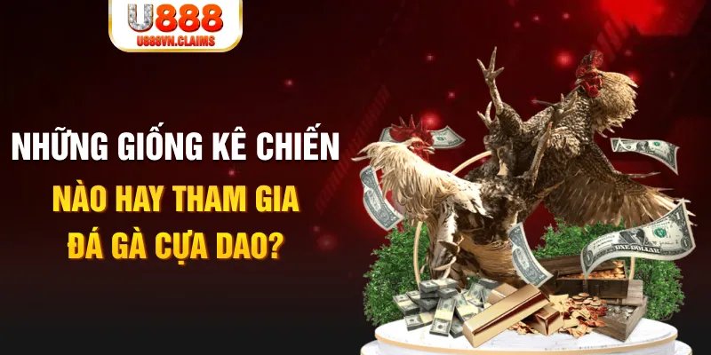bong da 888 sòng bạc KÈO NHÀ CÁI
