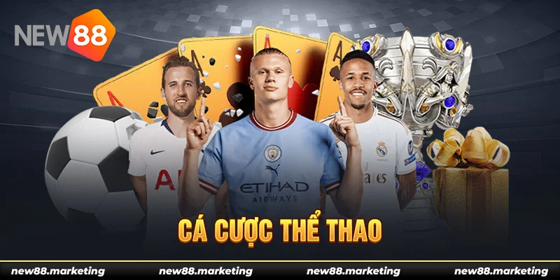 f8bet8 casino Đăng ký