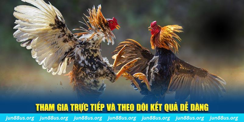 79king 6 sòng bạc ĐĂNG KÝ