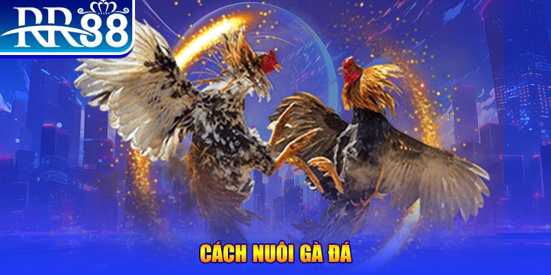 bet168 casino Đăng ký