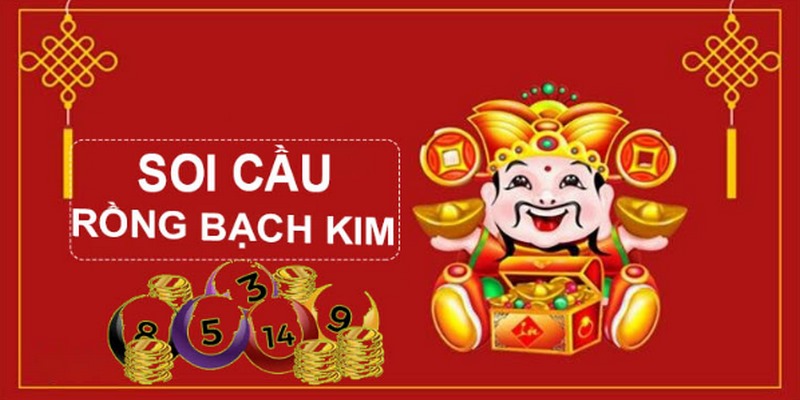 fun8 casino LÀ GÌ