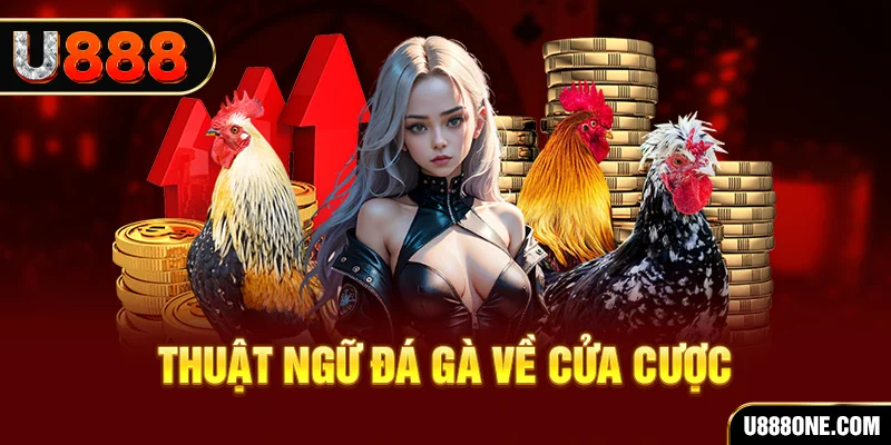 vaobong sòng bạc Trực tuyến