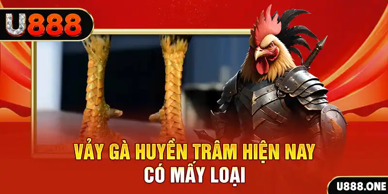 jun88znet sòng bạc tỷ lệ bóng đá