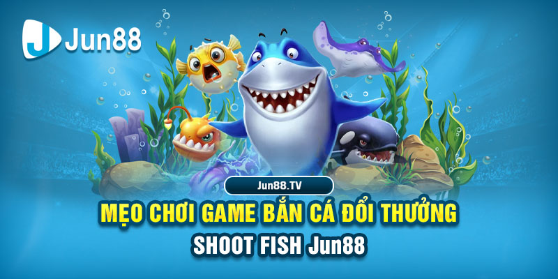 play rikvip casino link mới