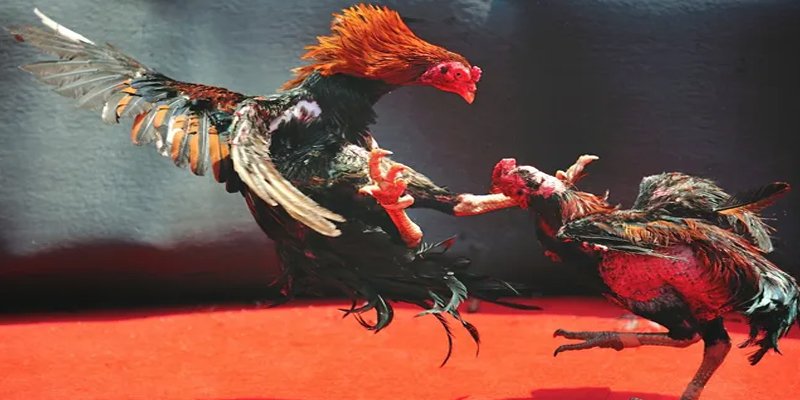 w88 you casino Trực tuyến