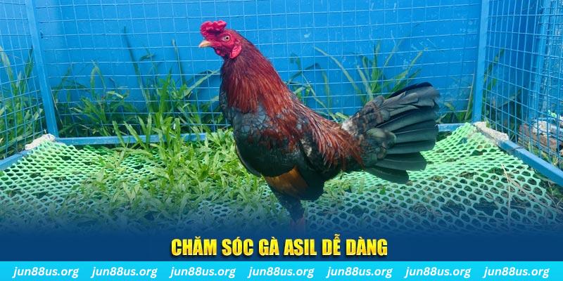 vn123 casino ĐĂNG NHẬP