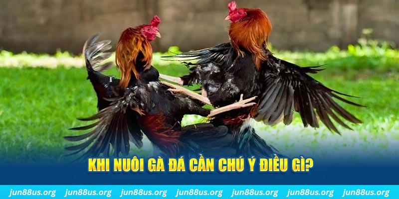 88day sòng bạc LINK MỚI