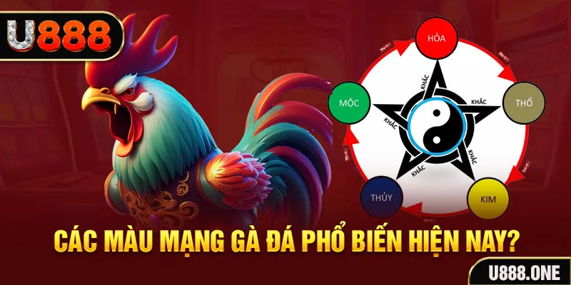 fb88min casino TỶ LỆ BÓNG ĐÁ
