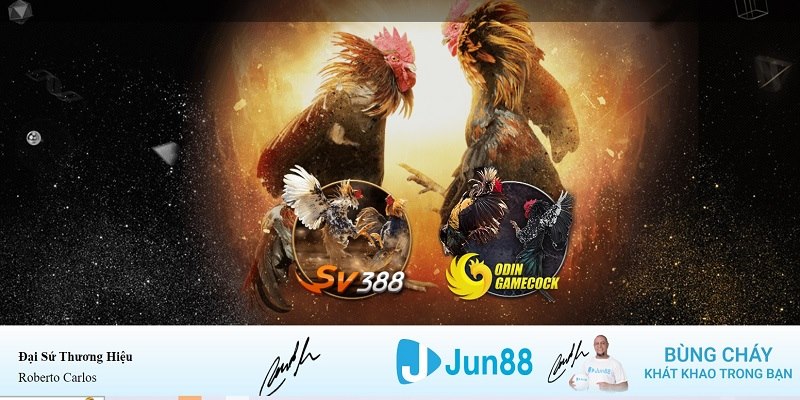 one 88 casino SÒNG BẠC