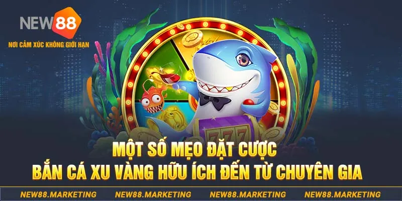 sm66 casino kèo nhà cái