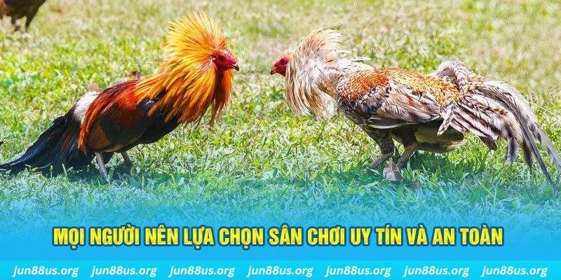 viva88 net casino LÀ GÌ