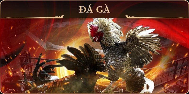 venus casino Trực tuyến