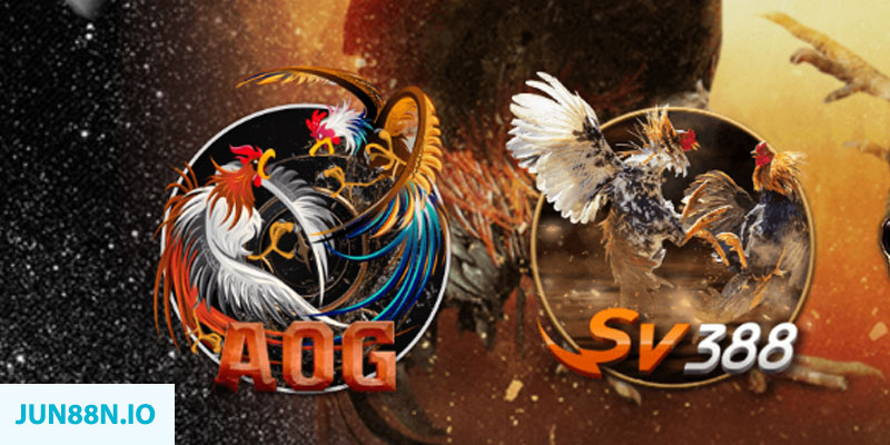 win 55 casino TỶ LỆ BÓNG ĐÁ