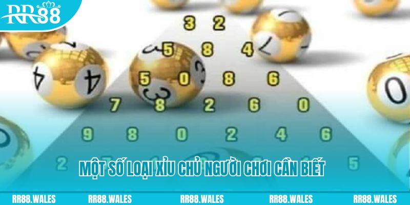 747 casino bet casino là gì