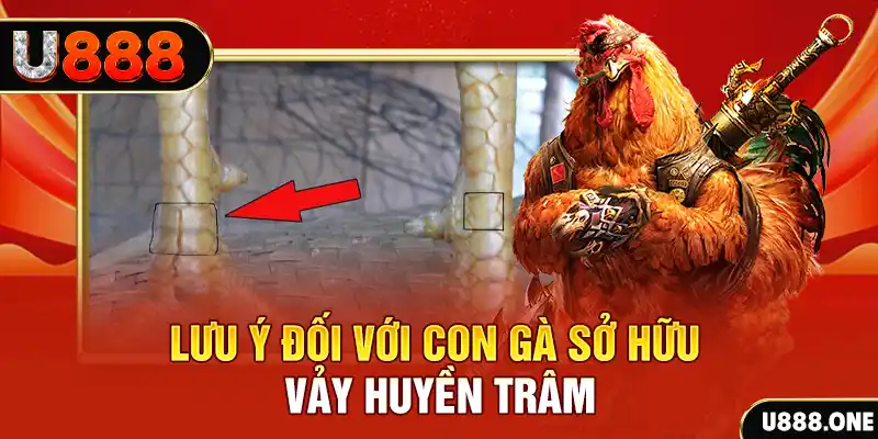 top 88 casino ĐĂNG KÝ