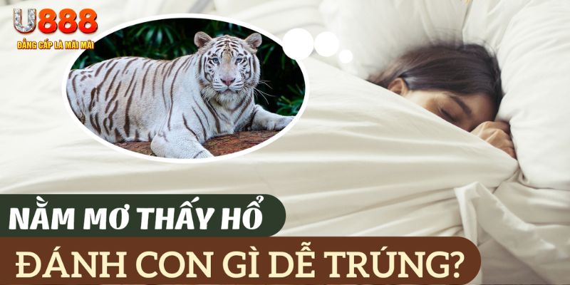 fb88sg casino KÈO NHÀ CÁI