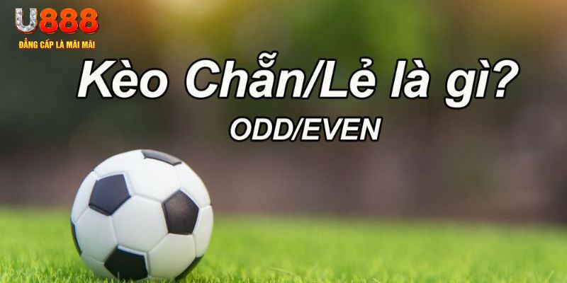 fun88ml casino SÒNG BẠC