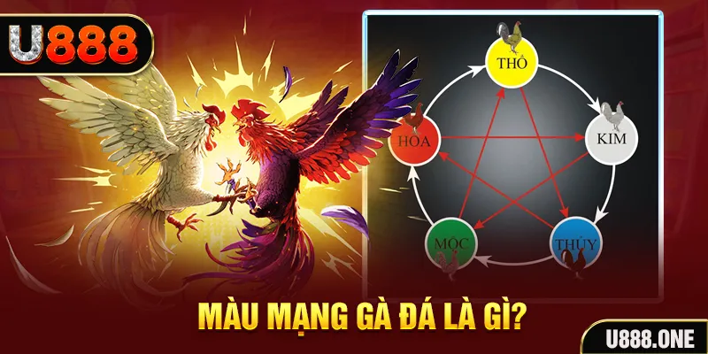 789win111 sòng bạc tỷ lệ bóng đá