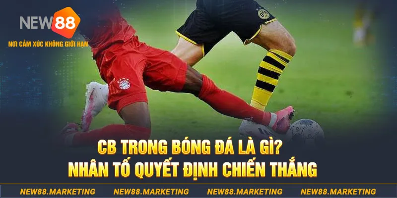 ﻿ty phu 88 casino LINK MỚI