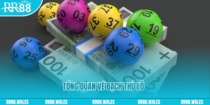 alo88 casino LINK MỚI