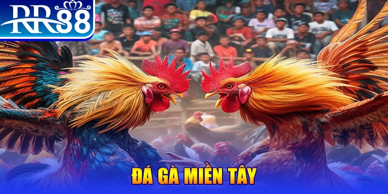 ae8888 casino ĐĂNG KÝ