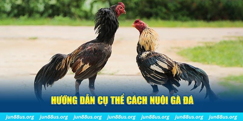 soi cau 777 casino ĐĂNG KÝ
