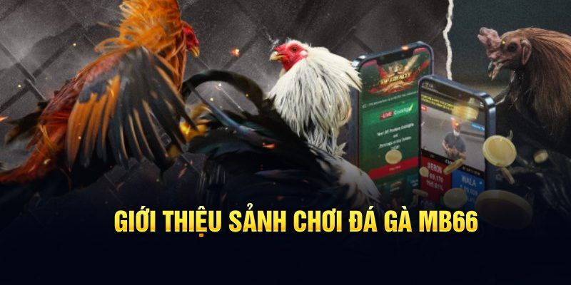 qh88 casino KÈO NHÀ CÁI